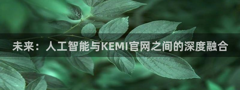 未来：人工智能与KEMI官网之间的深度融合