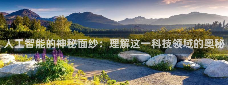 人工智能的神秘面纱：理解这一科技领域的奥秘