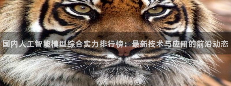 国内人工智能模型综合实力排行榜：最新技术与应用的前沿动态