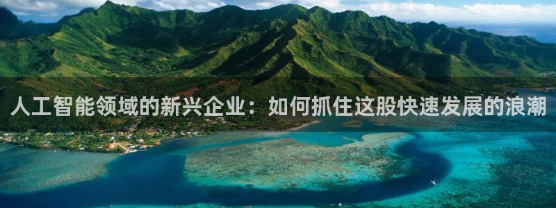 人工智能领域的新兴企业：如何抓住这股快速发展的浪潮