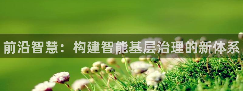前沿智慧：构建智能基层治理的新体系