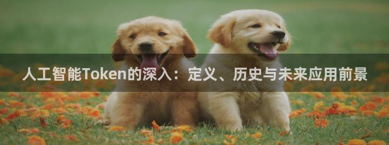 人工智能Token的深入：定义、历史与未来应用前景