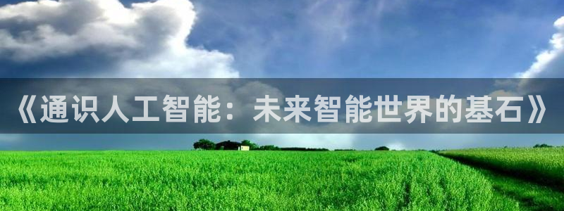 《通识人工智能：未来智能世界的基石》