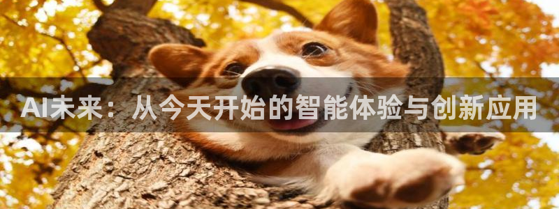 AI未来：从今天开始的智能体验与创新应用