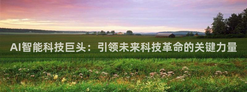 AI智能科技巨头：引领未来科技革命的关键力量