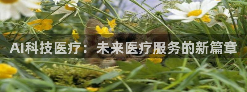 AI科技医疗：未来医疗服务的新篇章