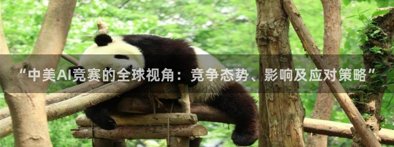 “中美AI竞赛的全球视角：竞争态势、影响及应对策略”