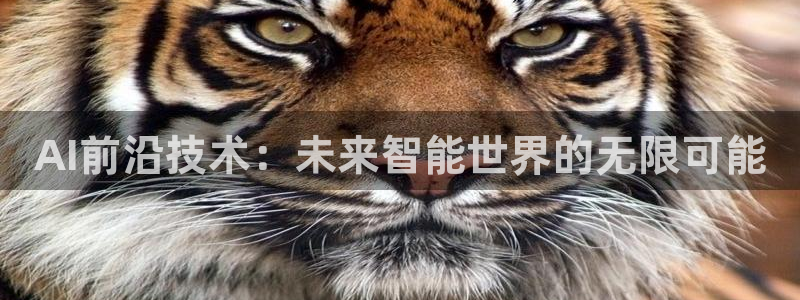 AI前沿技术：未来智能世界的无限可能
