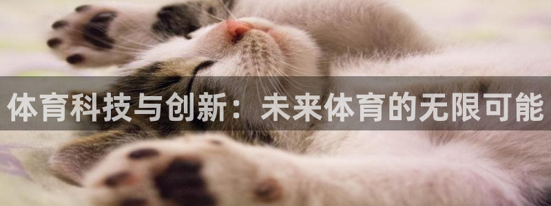 体育科技与创新：未来体育的无限可能