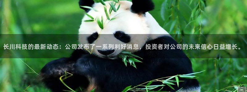 长川科技的最新动态：公司发布了一系列利好消息，投资者对公司的未来信心日益增长。