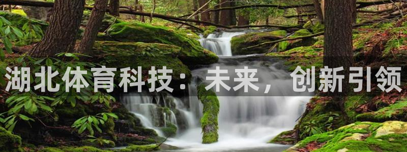 湖北体育科技：未来，创新引领