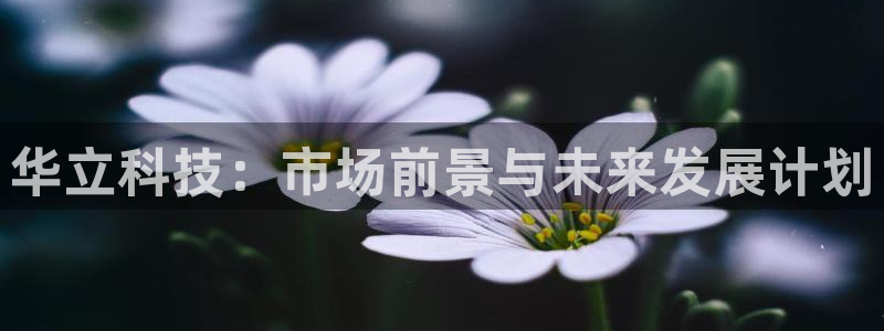 华立科技：市场前景与未来发展计划