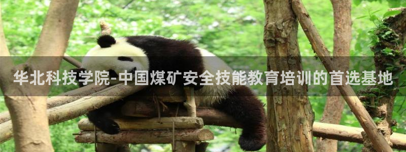华北科技学院-中国煤矿安全技能教育培训的首选基地