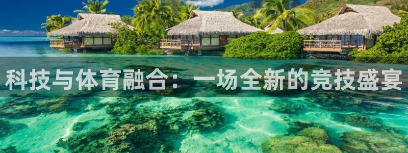 科技与体育融合：一场全新的竞技盛宴
