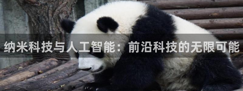 纳米科技与人工智能：前沿科技的无限可能