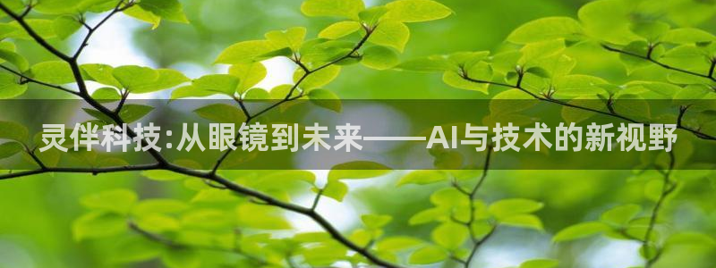 灵伴科技:从眼镜到未来——AI与技术的新视野