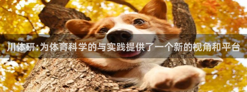 川体研:为体育科学的与实践提供了一个新的视角和平台
