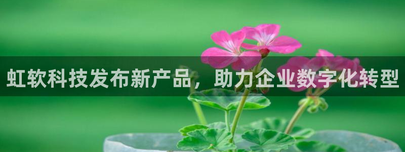 虹软科技发布新产品，助力企业数字化转型