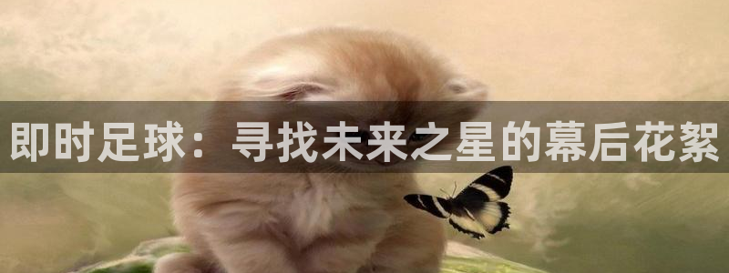 即时足球：寻找未来之星的幕后花絮