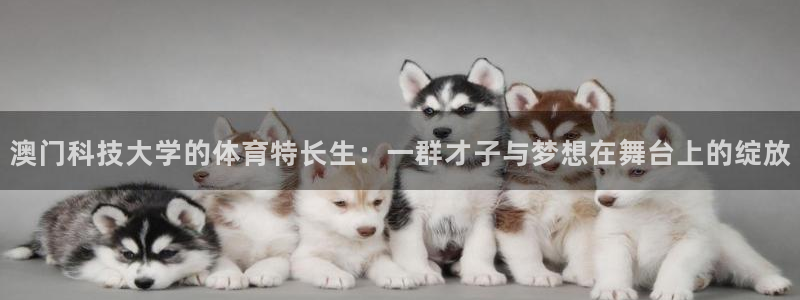 澳门科技大学的体育特长生：一群才子与梦想在舞台上的绽放