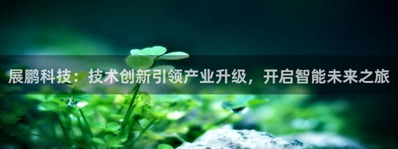 展鹏科技：技术创新引领产业升级，开启智能未来之旅