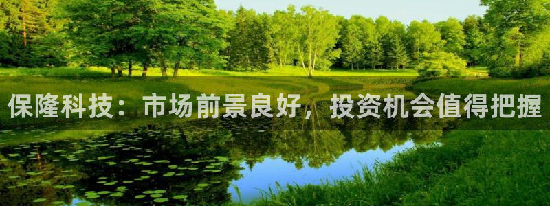 保隆科技：市场前景良好，投资机会值得把握