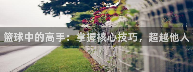 篮球中的高手：掌握核心技巧，超越他人