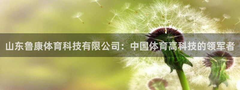 山东鲁康体育科技有限公司：中国体育高科技的领军者
