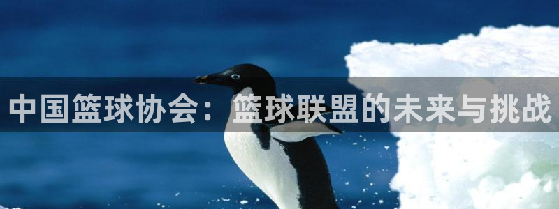 中国篮球协会：篮球联盟的未来与挑战