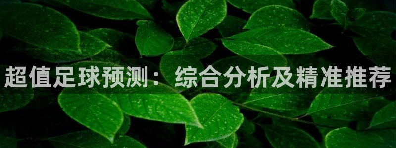 超值足球预测：综合分析及精准推荐