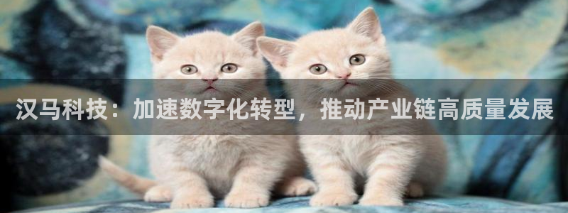 汉马科技：加速数字化转型，推动产业链高质量发展