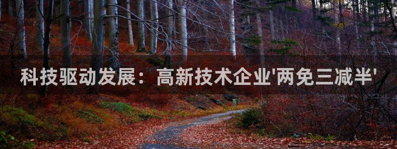 科技驱动发展：高新技术企业\'两免三减半\'