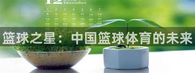篮球之星：中国篮球体育的未来
