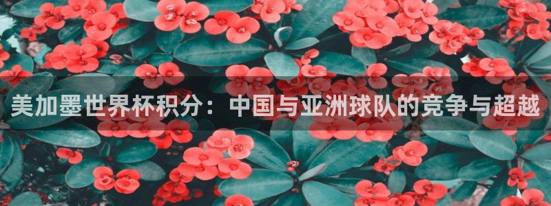 美加墨世界杯积分：中国与亚洲球队的竞争与超越