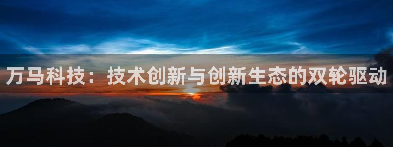 万马科技：技术创新与创新生态的双轮驱动