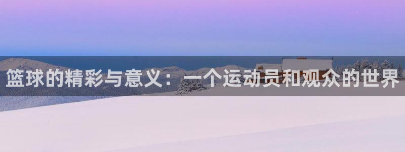 篮球的精彩与意义：一个运动员和观众的世界