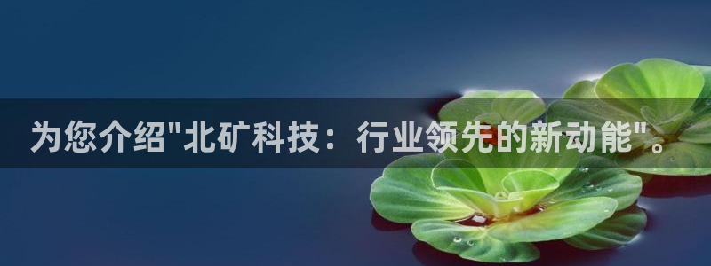 为您介绍\