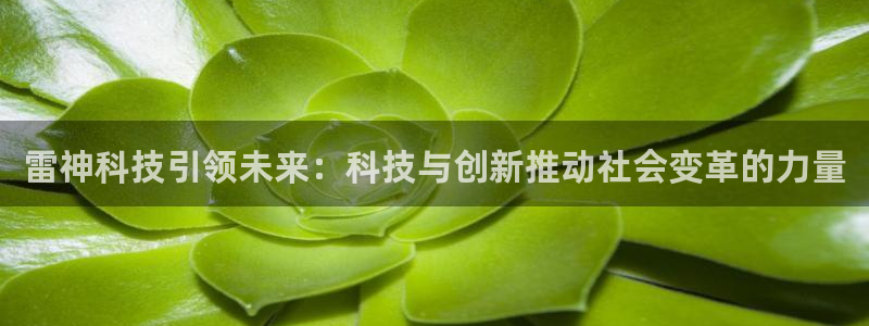 雷神科技引领未来：科技与创新推动社会变革的力量
