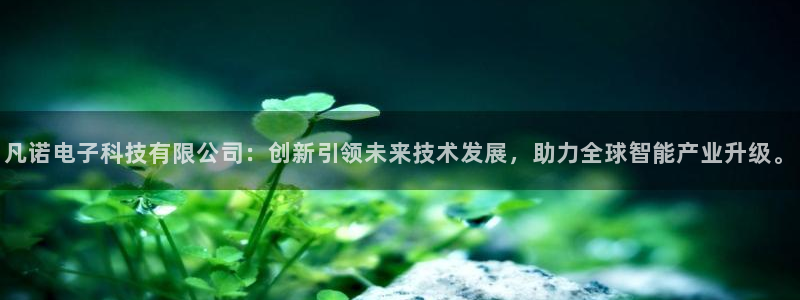 凡诺电子科技有限公司：创新引领未来技术发展，助力全球智能产业升级。