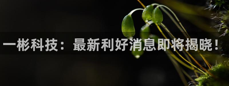 一彬科技：最新利好消息即将揭晓！