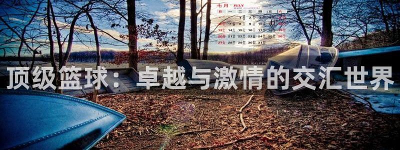 顶级篮球：卓越与激情的交汇世界