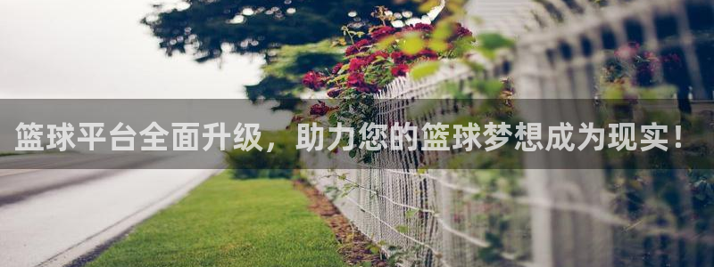 篮球平台全面升级，助力您的篮球梦想成为现实！