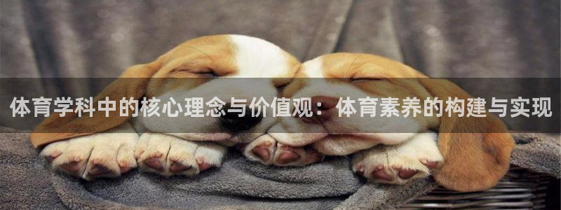 体育学科中的核心理念与价值观：体育素养的构建与实现