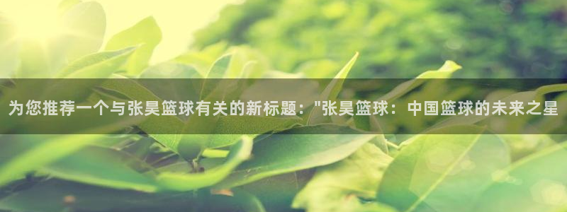 为您推荐一个与张昊篮球有关的新标题：\