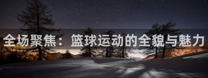 全场聚焦：篮球运动的全貌与魅力
