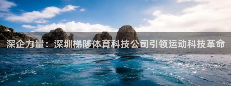 深企力量：深圳梯陟体育科技公司引领运动科技革命