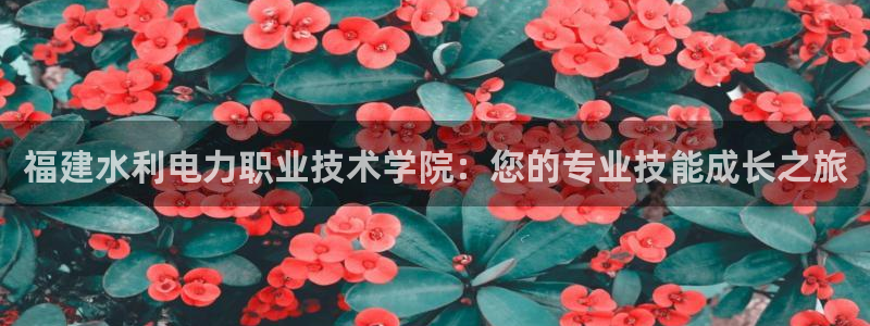 福建水利电力职业技术学院：您的专业技能成长之旅