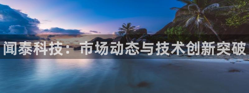 闻泰科技：市场动态与技术创新突破