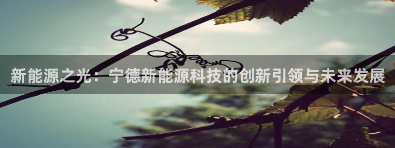新能源之光：宁德新能源科技的创新引领与未来发展