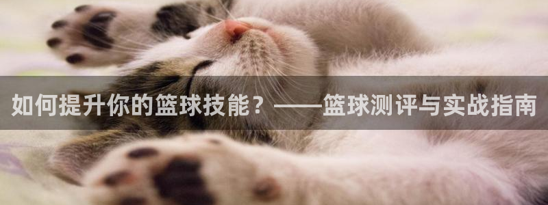 如何提升你的篮球技能？——篮球测评与实战指南